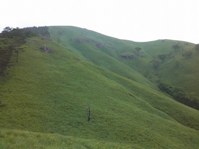 100621_a3.jpg