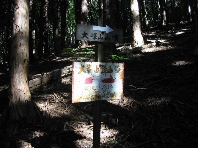 101103_a3.jpg