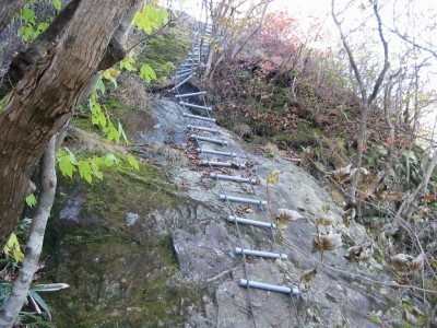 101103_b7.jpg