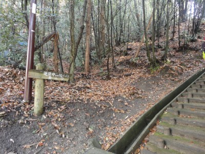 140126_a1.jpg