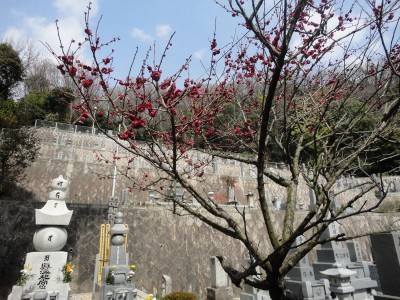 140308_d2.jpg