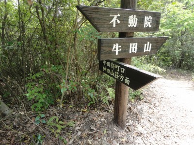 140518_b3.jpg
