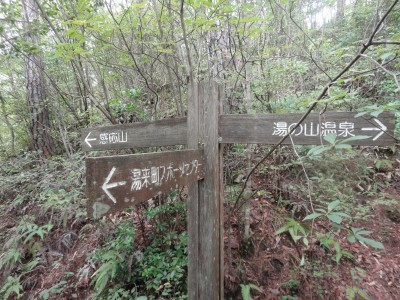 140906_b8.jpg