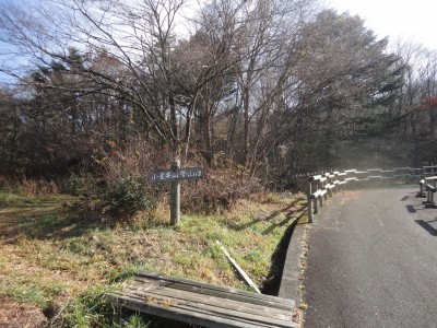 141123_a2.jpg