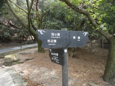 150412_b5.jpg