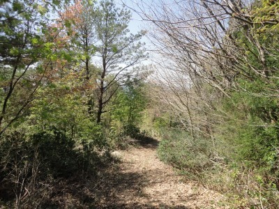 150427_a3.jpg