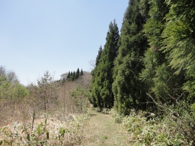 150427_a7.jpg