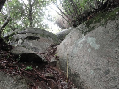 150620_b0.jpg