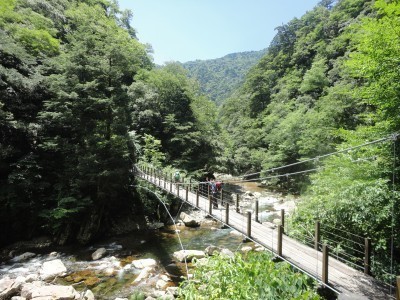 150725_b5.jpg