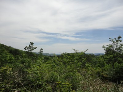 160521_s2.jpg