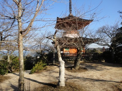170128_b1.jpg