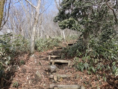 170225_a13.jpg