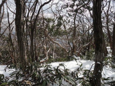 170225_a15.jpg