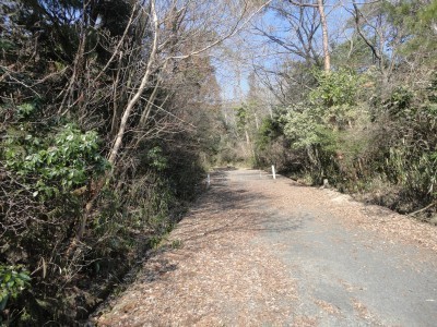 170311_b1.jpg