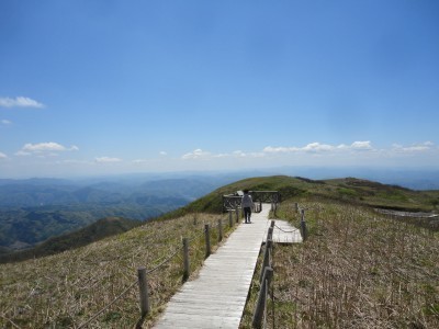 170505_d2.jpg