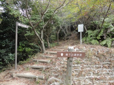170520_d0.jpg