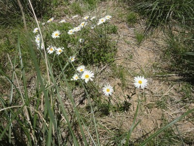 170520_d3.jpg