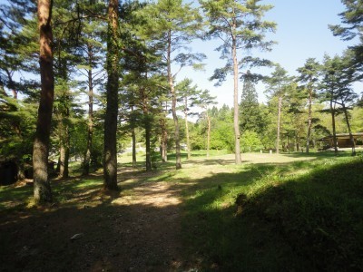 180505_a3.jpg
