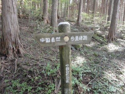 180505_a5.jpg