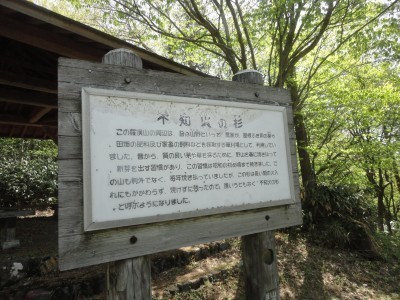 180505_a9.jpg