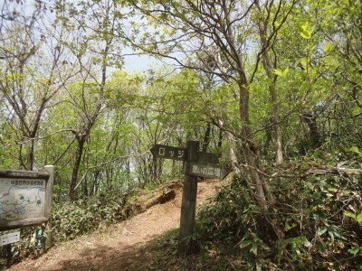 180505_r1.jpg