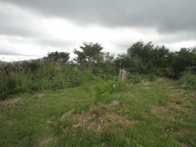 180902_s2.jpg