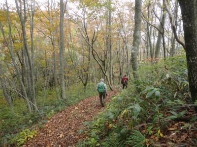 181020_b3.jpg