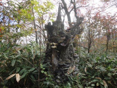 181020_b7.jpg