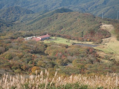 181020_d3.jpg
