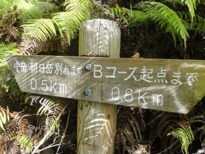 181104_a4.jpg