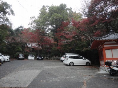 181117_a2.jpg
