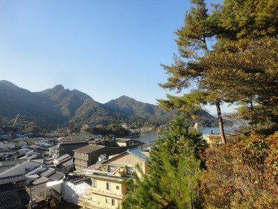 190119_a2.jpg