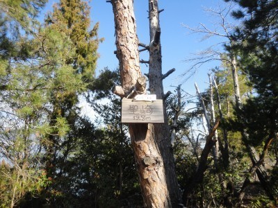 190119_a3.jpg