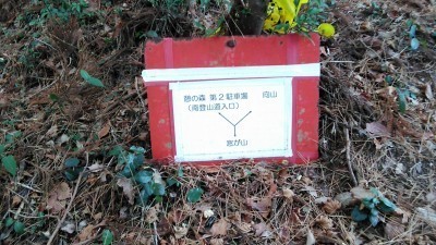 190217_a3.jpg