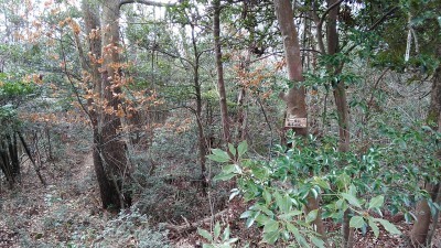 190217_a5.jpg