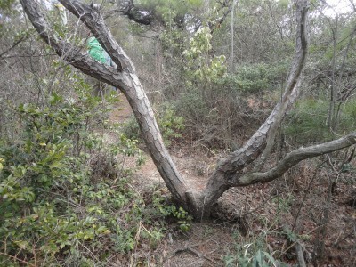 190324_d1.jpg