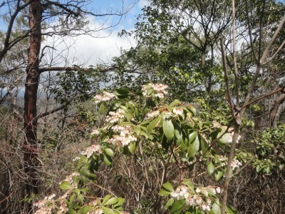 190324_d3.jpg