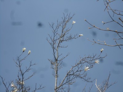 190406_b1.jpg