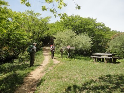 190510_b1.jpg