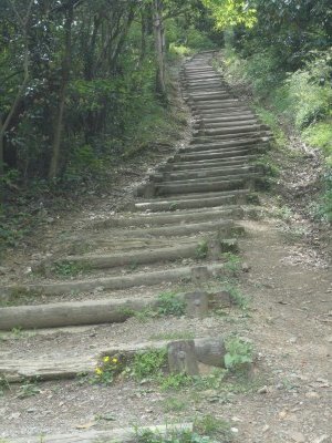 190510_b5.jpg