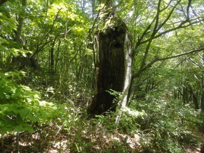 190525_b3.jpg