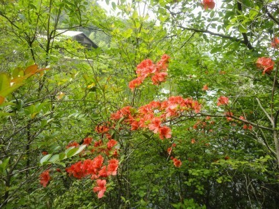 190622_a3.jpg