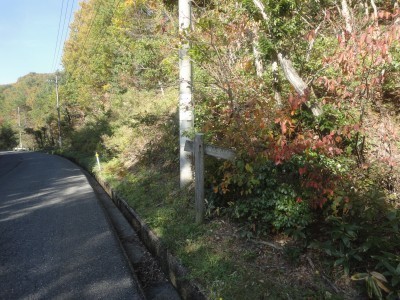 191102_a5.jpg