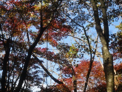 191102_a9.jpg