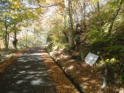 191102_b3.jpg
