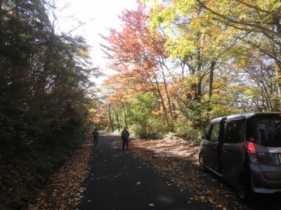 191102_d7.jpg