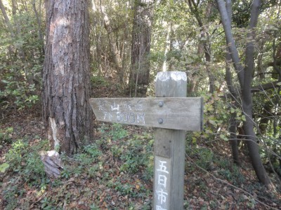 191116_a7.jpg
