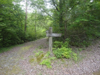 200606_a5.jpg