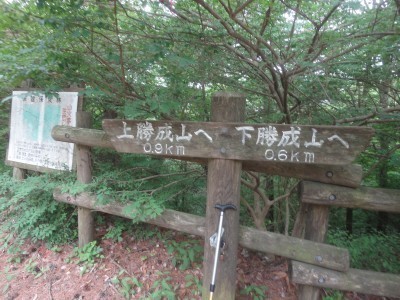 200606_b5.jpg