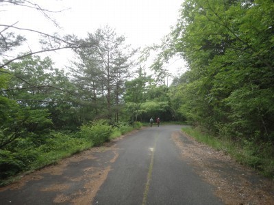 200606_c2.jpg